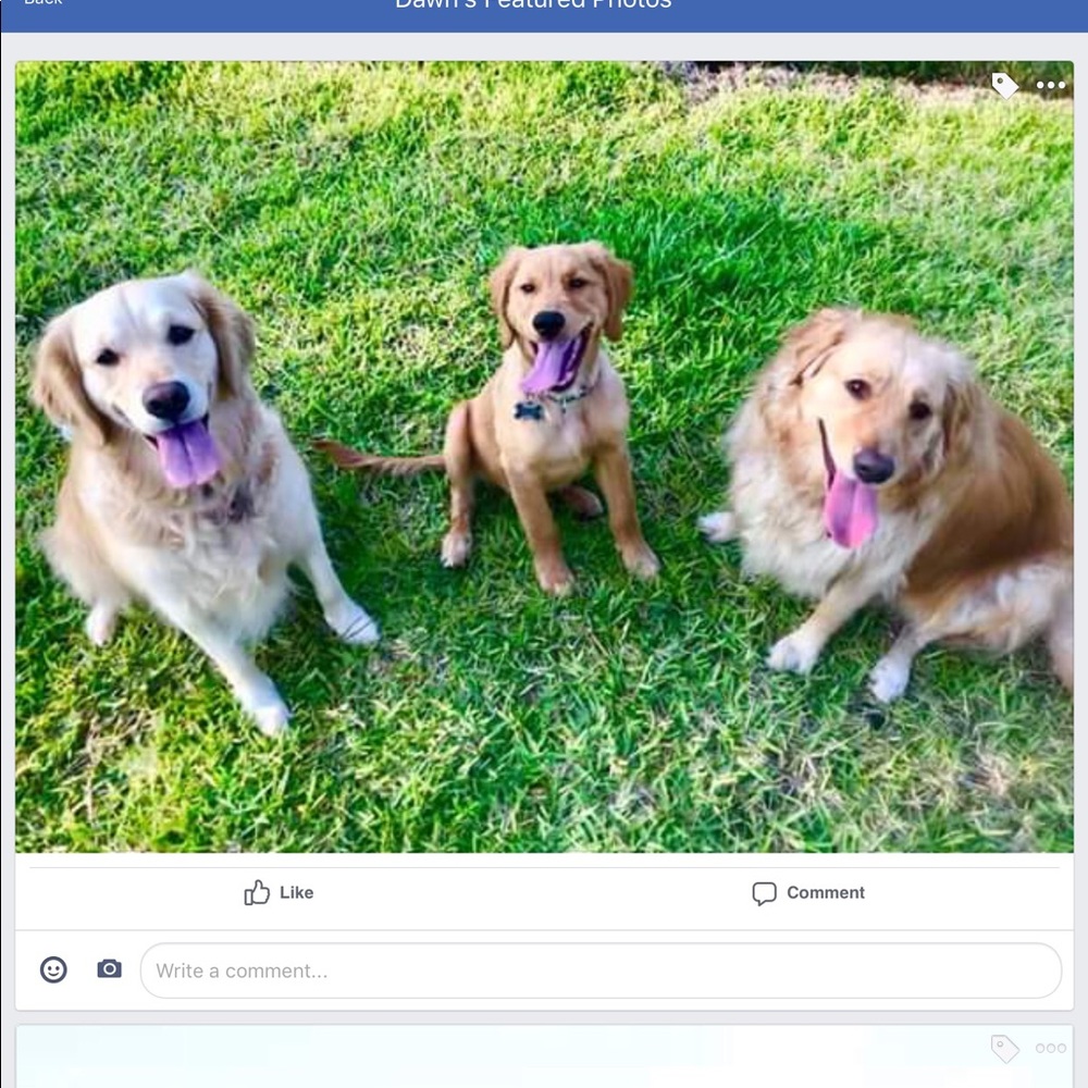 Meet your Posher, Jude